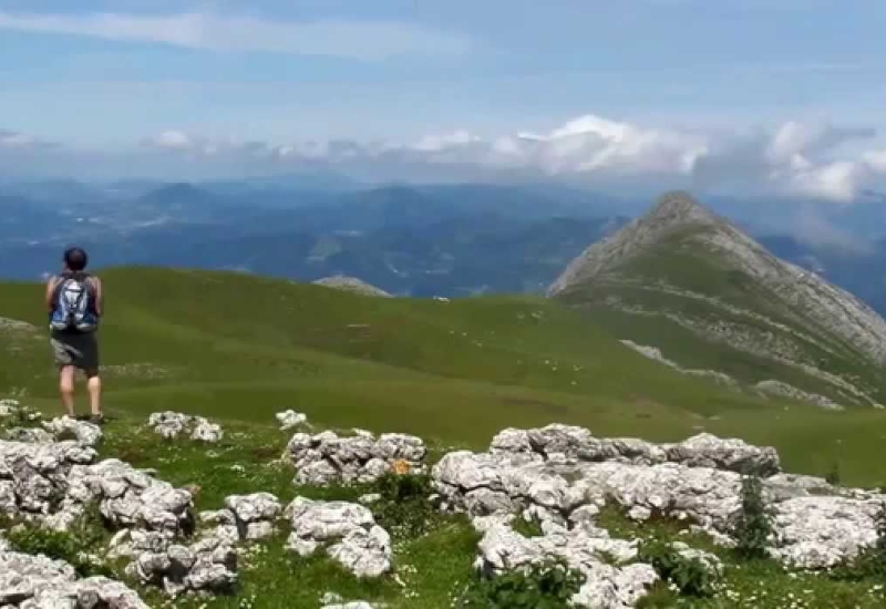 10-16/08/2021. Costa i muntanya basca. Tots els colors del verd 