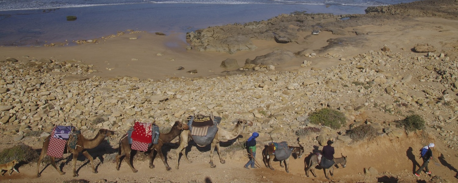 00006178-la-balaguere-essaouira