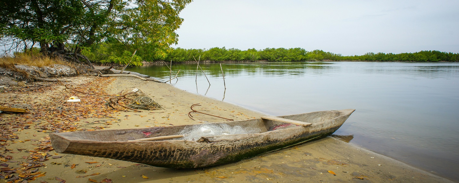 senegal pano 2