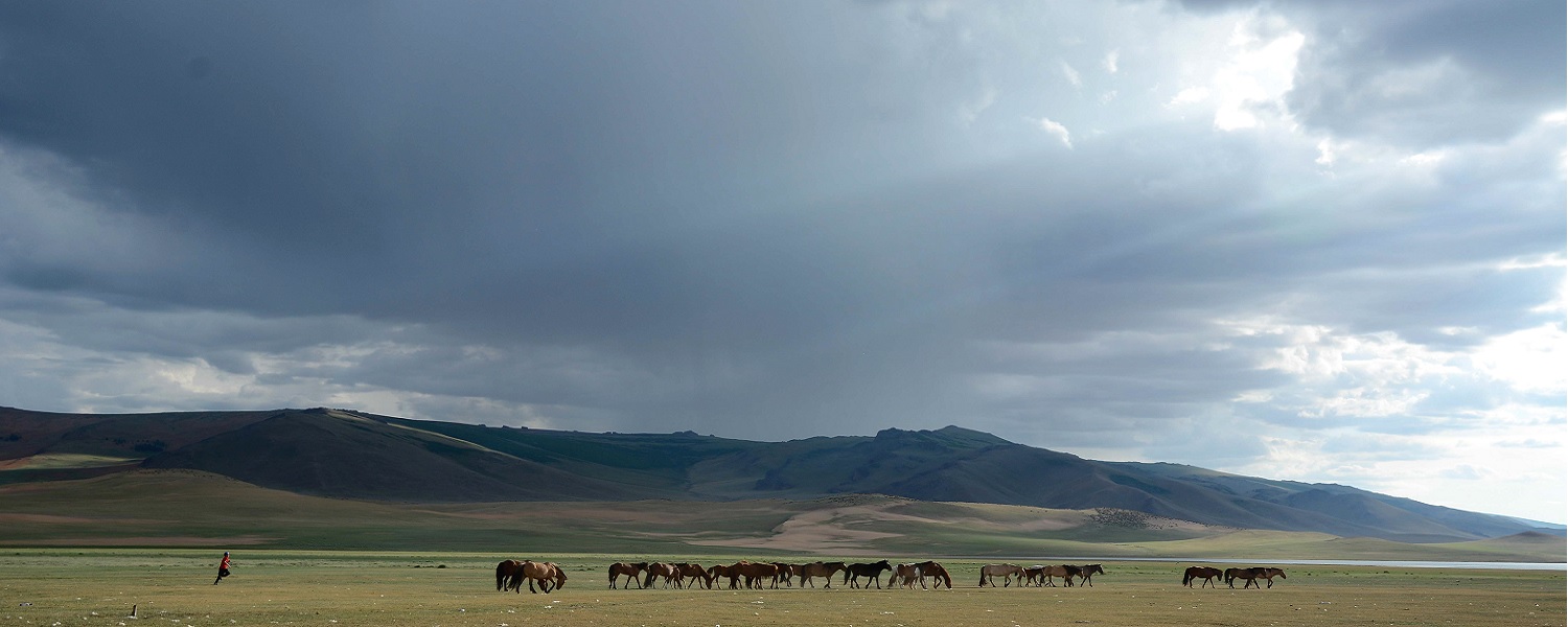 Mongolia banner 02