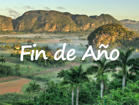 Fin de Año 2025